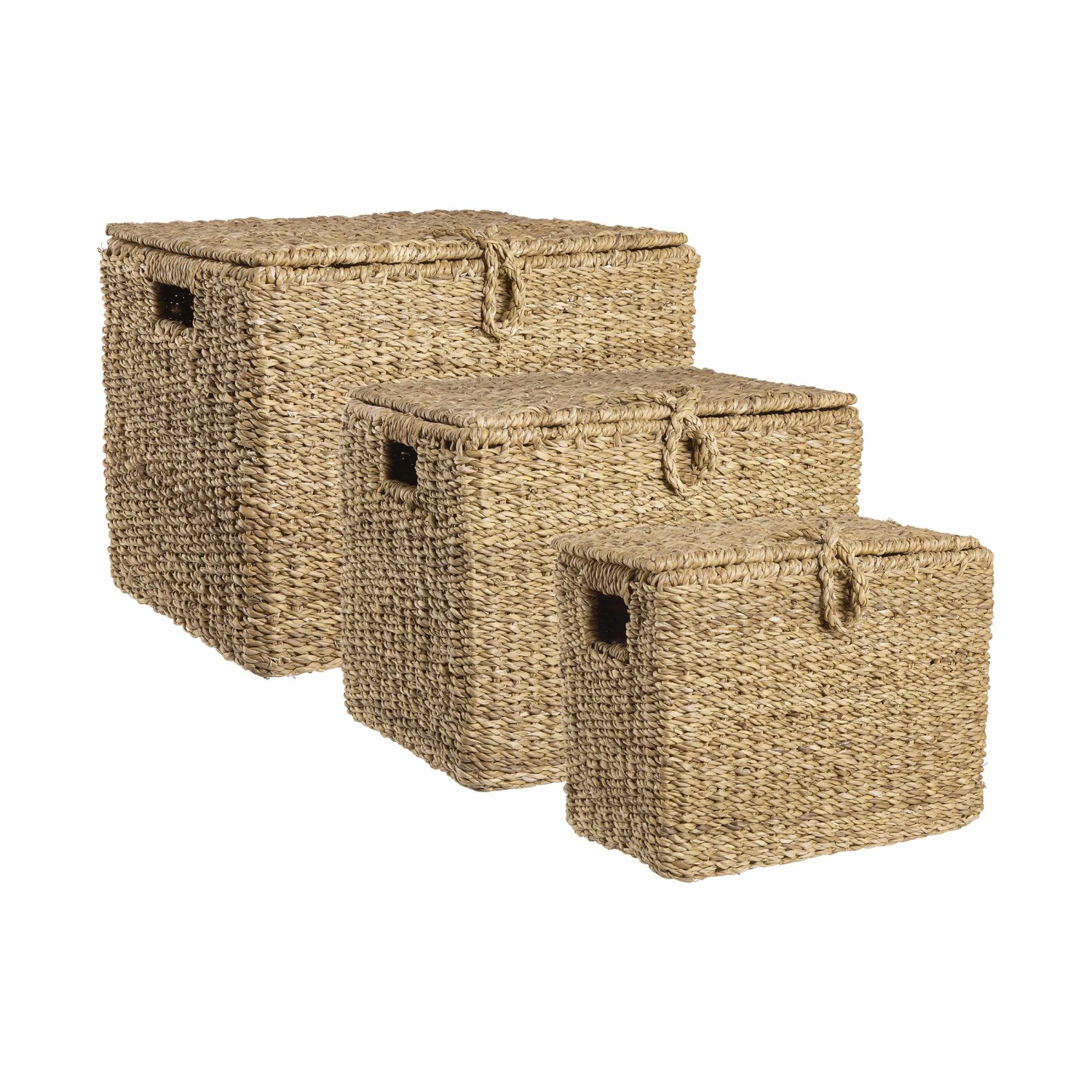 ERLA Truhe Rechteckig L 36 X B 21cm - Image 5