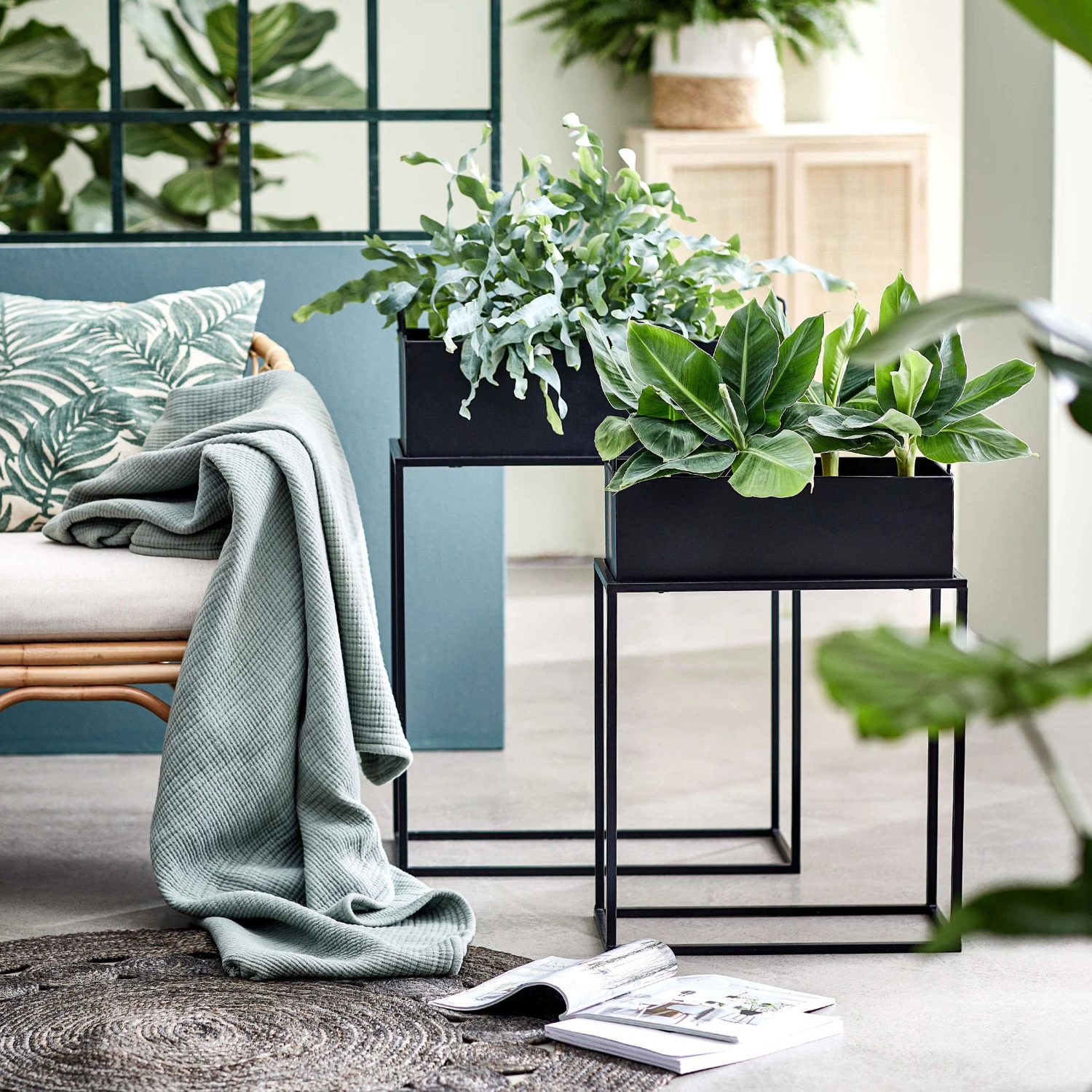 PLANTA Pflanzkasten Mit Gestell B 45 X T 21cm - Image 14