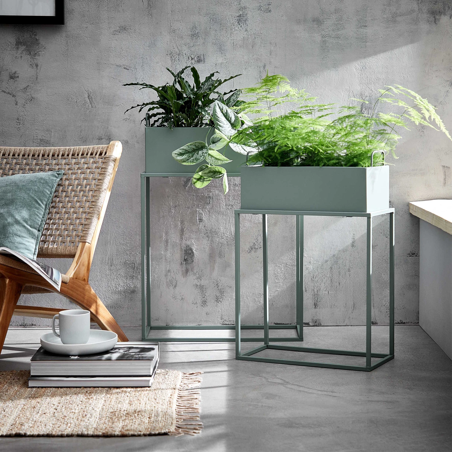 PLANTA Pflanzkasten Mit Gestell B 45 X T 21cm - Image 2